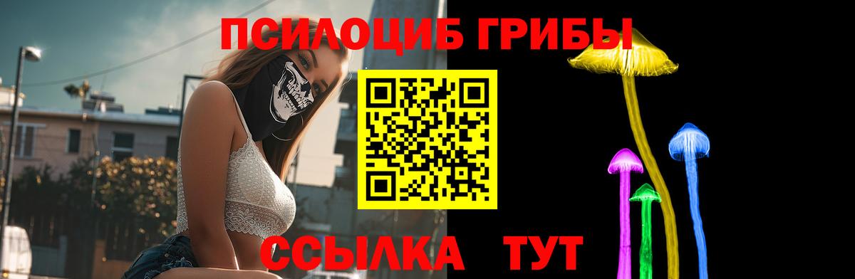Воронеж  Галлюциногенные грибы Psilocybe  Вход с VPN  Псилоцибиновые грибы прущие грибы 